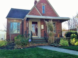 17419 Elsienna, Cleveland OH  44135-1915 exterior