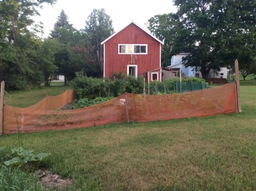 900 Woodward Ave, Big Rapids MI 49307-9201 exterior