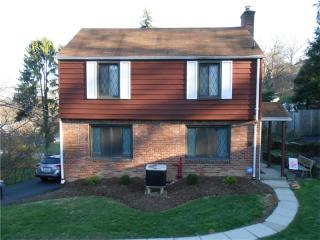 224 Constitution Dr, Pittsburgh PA  15236-4441 exterior