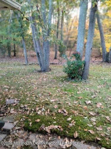 10 Cardinal St, Lakehurst, NJ 08759-5321