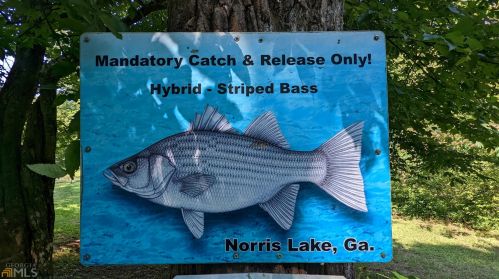 8388 Lake Dr, Lithonia GA  30039-5724 exterior