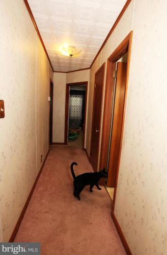 11208 Raystown Rd, Huntingdon PA 16652-7434 exterior