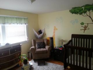 1101 Pennsylvania Ave, Saint Louis MO  63130-2450 exterior