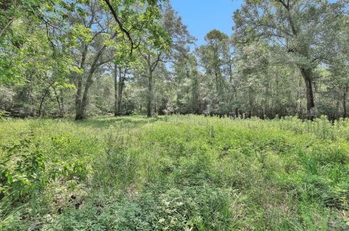 1431 Fm 3083 Rd, Conroe TX 77303-1828 exterior