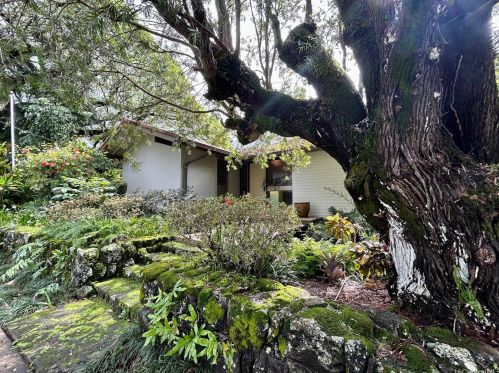 137 Dowsett Ave, Honolulu, HI 96817-1109