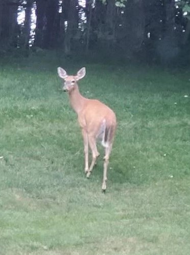 4480 Coit Ave, Grand Rapids MI 49525-1110 exterior