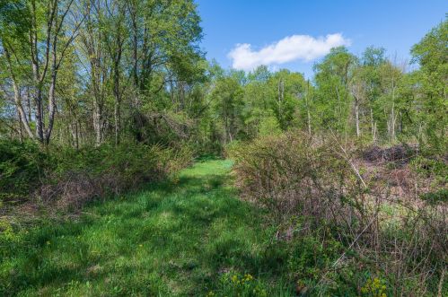 6450 2 St, Kalamazoo MI 49007-4909 exterior