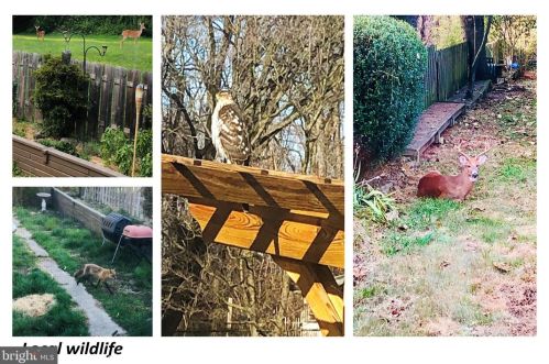 224 Lemonte St, Philadelphia PA 19128-4518 exterior