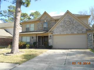 8903 Driftstone Dr, Spring TX  77379-6376 exterior