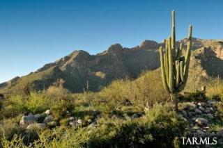 2191 Desert Garden Dr, Tucson AZ  85718-7848 exterior