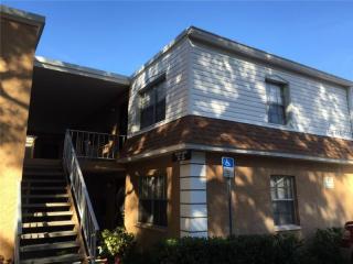 4701 Joseph Ct, Tampa, FL 33614-7245