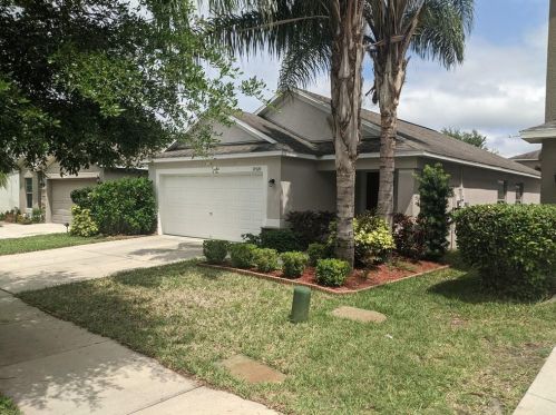 10520 Summer Azure Dr, Riverview, FL 33578-5828
