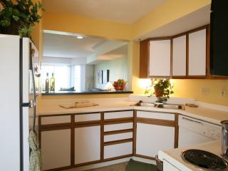 4890 Birch Lake Cir, Saint Paul MN  55110-6727 exterior