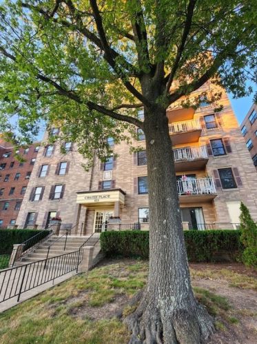 923 California Ave, Pittsburgh PA  15202-2704 exterior