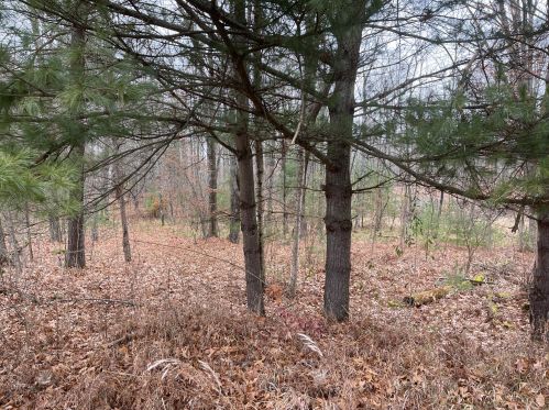 11495 215th Ave, Big Rapids MI  49307-9427 exterior