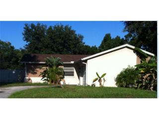 14043 Arbor Knoll Cir, Tampa, FL 33625-6445