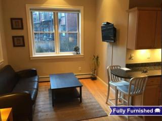 198 Canton St, Boston MA  02118-2305 exterior