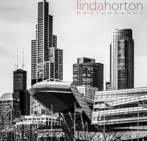 221 Cullerton St, Chicago IL  60616-1306 exterior