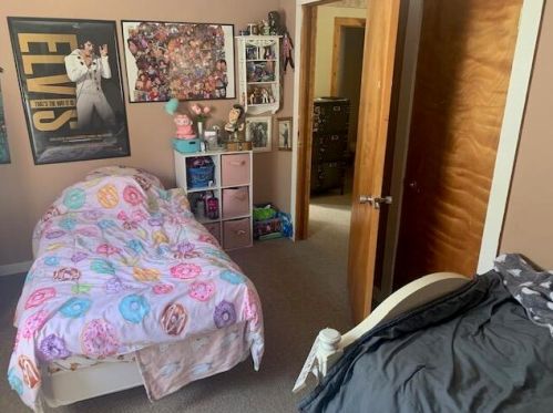 20461 Spruce Rd, Big Rapids MI 49307-9731 exterior