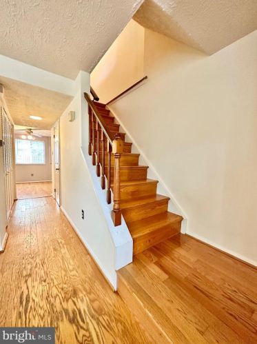 8313 Claremont Woods Dr, Alexandria VA  22309-1870 exterior