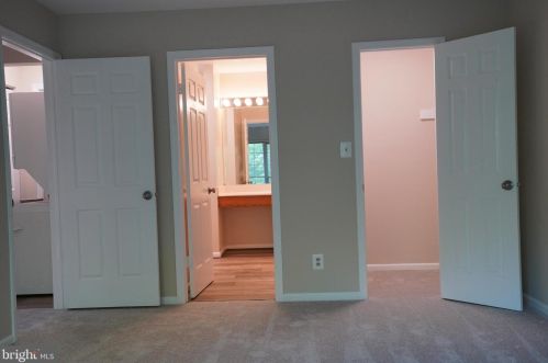 4503 Hazeltine Ct, Alexandria VA 22312-3206 exterior