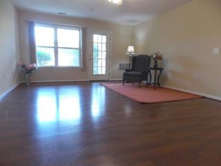 1563 Weatherstone Dr, Ann Arbor MI  48108-3387 exterior