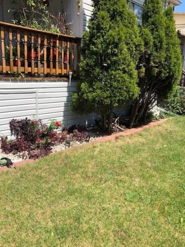 5053 George St, Chicago IL 60641-5026 exterior