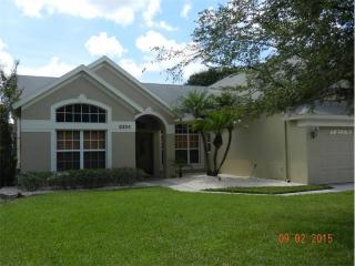 6324 Nikki Ln, Tampa FL  33625-1643 exterior