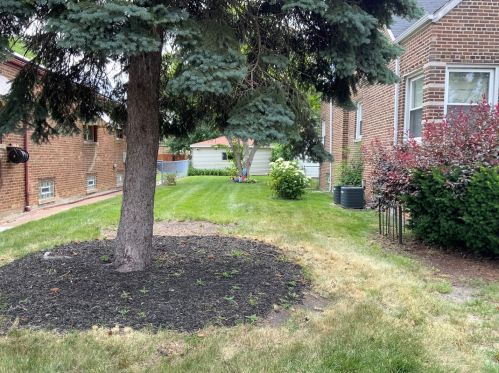 10041 Vernon Ave, Chicago, IL 60628-2233