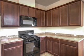 30807 Lavender Trace Dr, Spring TX  77386-4020 exterior