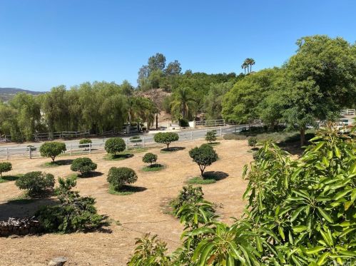 35350 Linda Rosea Rd, Temecula CA 92592-9532 exterior