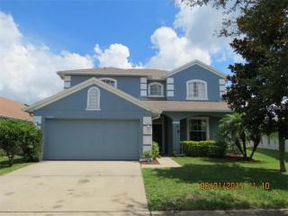 11120 Rodeo Ln, Riverview, FL 33579-0700