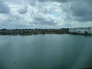 8909 Lakeshore Bend Dr, Houston TX  77080-6043 exterior