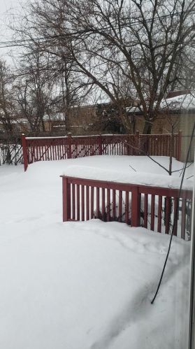 1025 156 Pl, Dolton IL 60419-2780 exterior