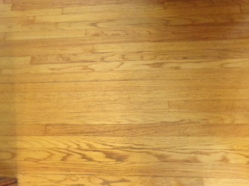 1416 Bank St, Kalamazoo MI 49001-2906 exterior