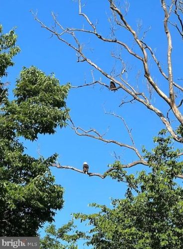 1708 Riverside Dr, Trenton NJ 08618-5843 exterior