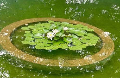 6423 Murdoch Ave, Saint Louis MO 63109-2656 exterior