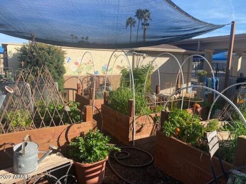 13036 46 St, Phoenix AZ 85044-4019 exterior