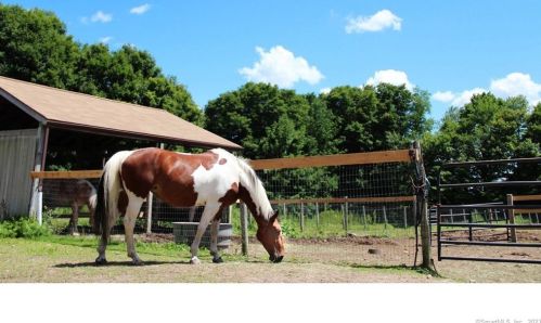 374 Trailsend Dr, Torrington CT 06790-2246 exterior