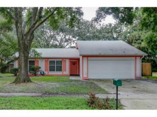 13935 Briardale Ln, Tampa, FL 33618-2115