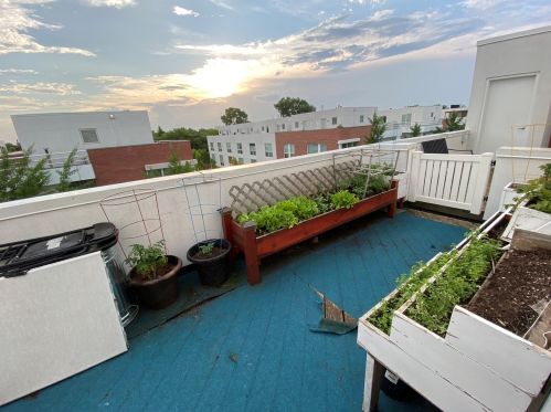 2934 Hermitage Ave, Chicago IL  60657-1210 exterior