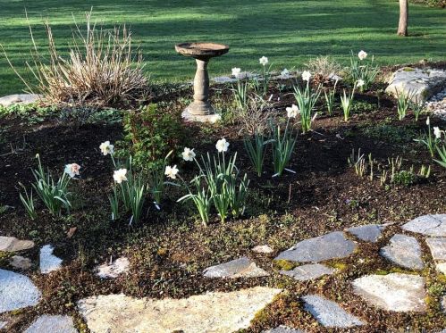 48 Box Mtn Dr, Vernon CT 06066-6305 exterior