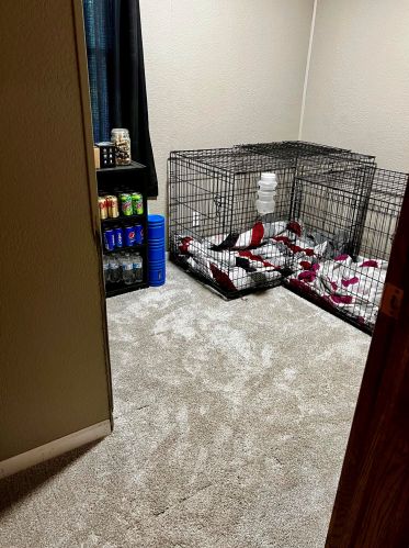 4645 68th St, Milwaukee WI  53220-3917 exterior