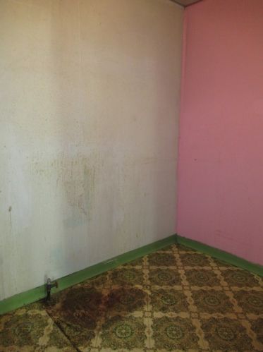 829 Euclid Ave, Pittsburgh PA 15206-1612 exterior