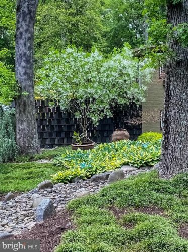 4512 Dolphin Ln, Alexandria VA 22309-3110 exterior