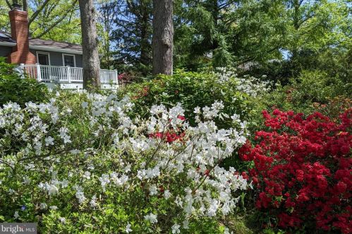 4 Argyle St, Rockville MD 20850-4417 exterior