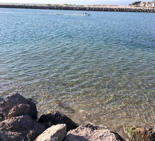 320 Rossmore Dr, Oxnard CA  93035-4465 exterior