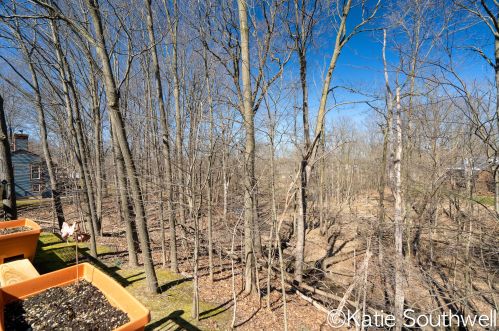 2149 Cross Creek Dr, Grand Rapids MI 49508-8795 exterior