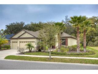 20020 Outpost Point Dr, Tampa FL  33647-3560 exterior