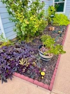 2206 Weiss Ln, Georgetown, TX 78626-8186